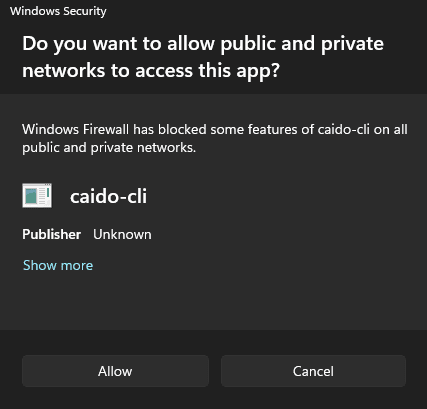 Windows Security.